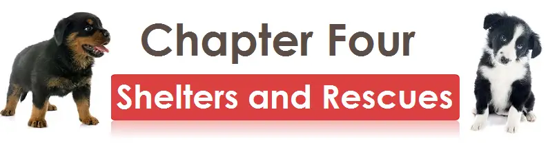 Chapter Four- Shelters and Rescues