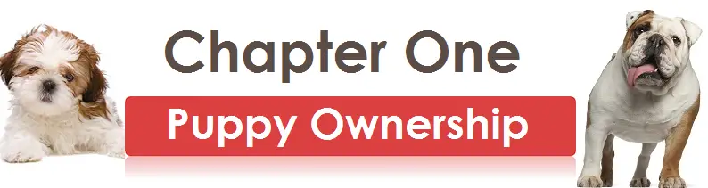 Chapter One - Puppy Ownership