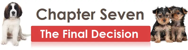 Chapter Seven- The Final Decision