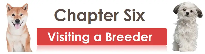 Chapter Six- Visiting a Breeder