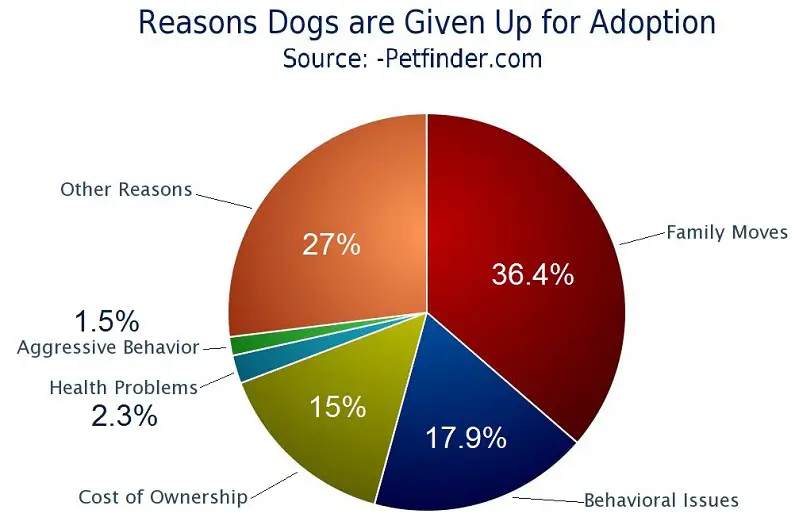Chart-Reasons Dogs are given up for adoption