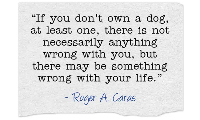 “If you don't own a dog, at least one, there is not necessarily anything wrong with you, but there may be something wrong with your life.” ― Roger A. Caras