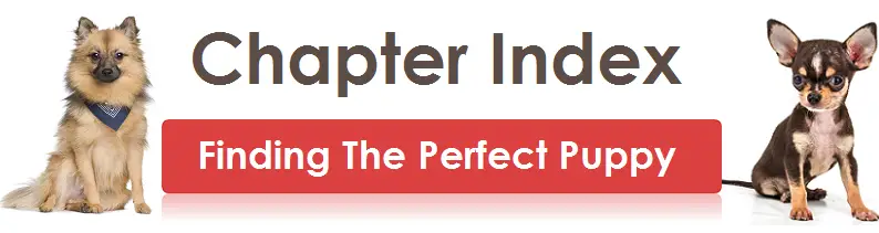 Chapter Index
