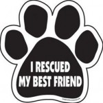 I rescued my best frind - adopt a dog