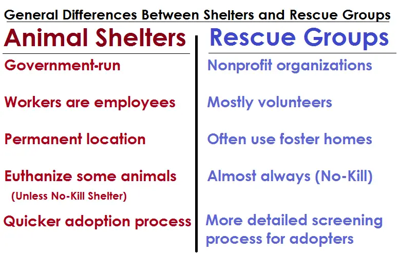 General differences between shelters and rescue groups