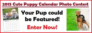 2015 Puppy Photo Contest