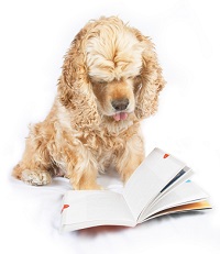 researching dog breeds