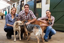 visiting a breeder
