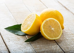 natural remedies for fleas on dogs