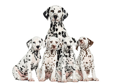 shutterstock_184611326.jpg
